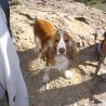 Lola